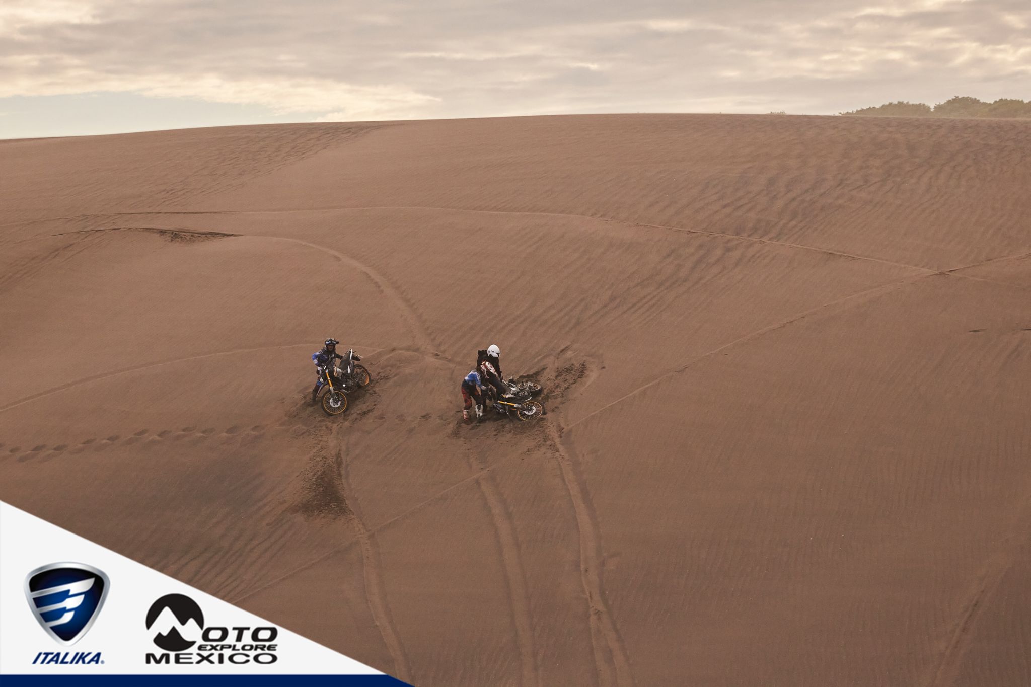 ITALIKA CHACHALACAS D2 446